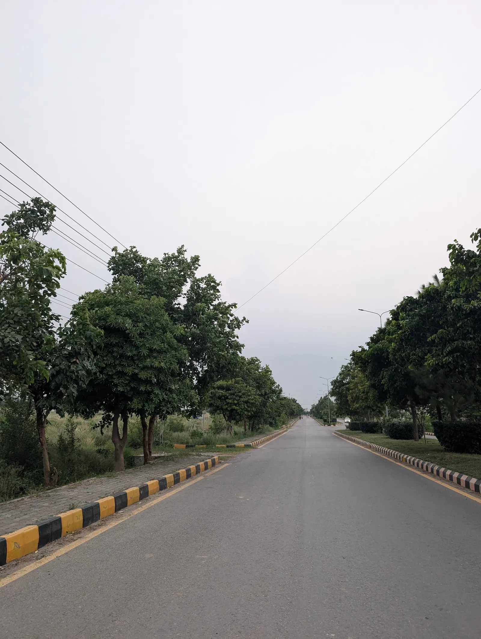 Tree-lined boulevard through Block A, AWT D-18